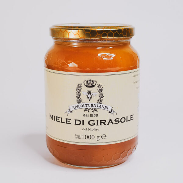 Vasetto grande di Miele di Girasole da 1kg prodotto artigianalmente in Molise - Apicoltura Lanni