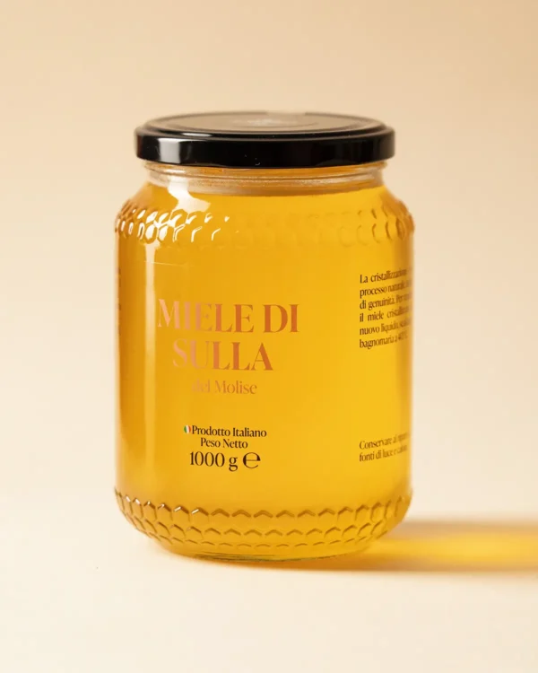 Vasetto grande di Miele di Sulla da 1kg prodotto artigianalmente in Molise - Apicoltura Lanni